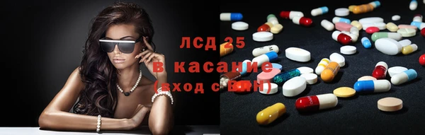 стаф Арсеньев