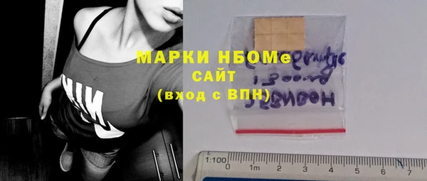 стаф Арсеньев
