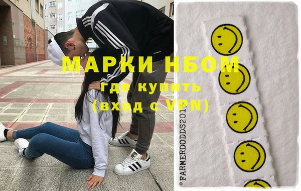 стаф Арсеньев