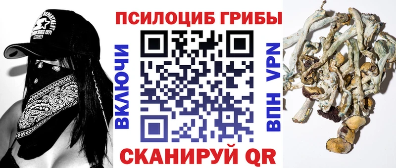 Галлюциногенные грибы мицелий Омутнинск